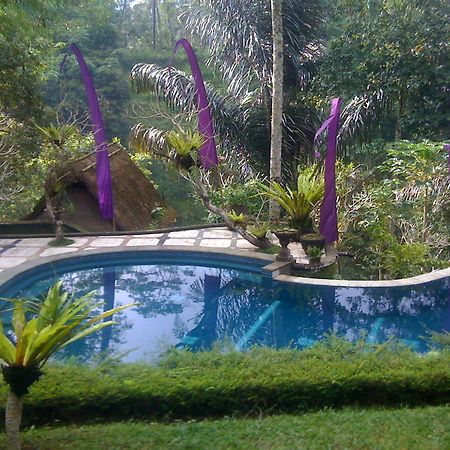 Abisha Mystique Villa Ubud  Ngoại thất bức ảnh